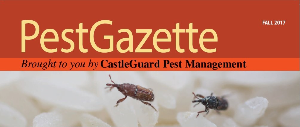 Fall 2017 Pest Gazette
