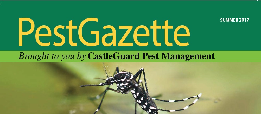 Pest Gazette Summer 2017
